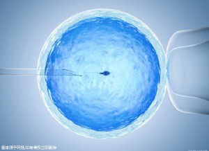 蘇懷安